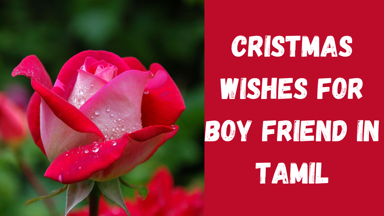 christmas wishes for boyfriend