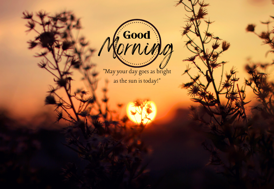 Best good morning wishes in Tamil
